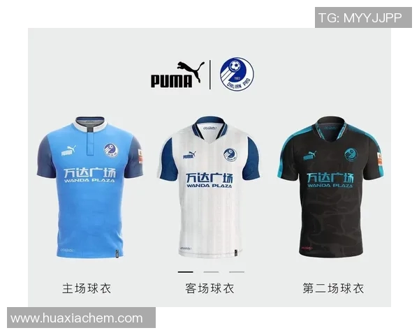 足球明星球衣的市场价值揭秘及其背后的收藏热潮分析