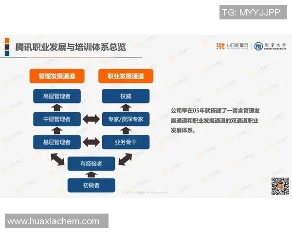 全球体育管理课程排名分析及其对职业发展的影响探讨