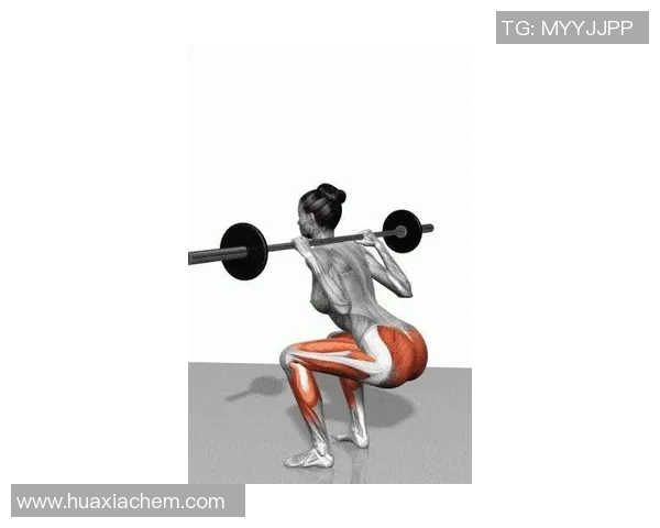 哑铃多少才合适如何选择适合自己的哑铃重量与训练计划