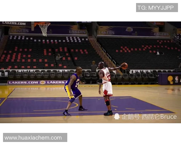 探索mz篮球明星的成长之路与赛场风采揭秘