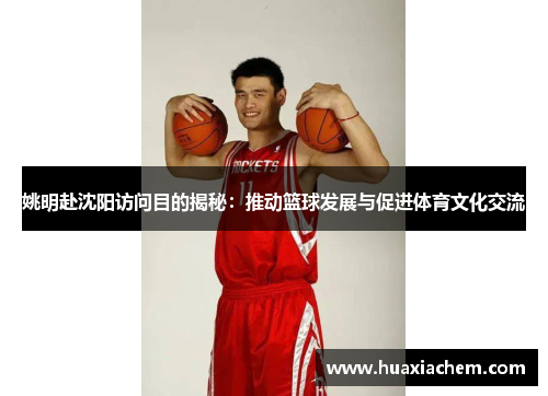 姚明赴沈阳访问目的揭秘：推动篮球发展与促进体育文化交流