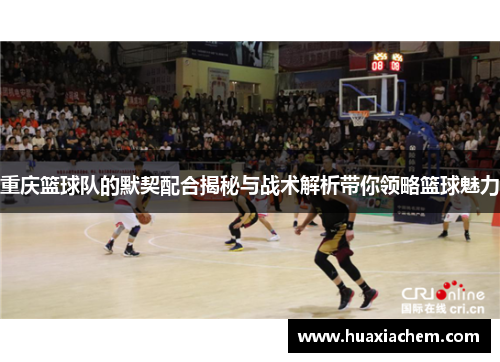 重庆篮球队的默契配合揭秘与战术解析带你领略篮球魅力